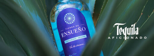 Tequila Culture in San Diego: Looking Back at 2010 Spirits of Mexico